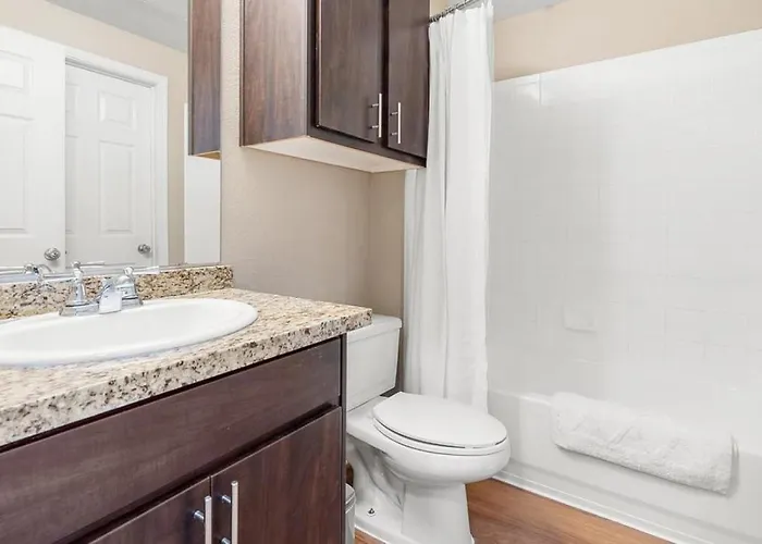 Apartment Landing Modern With Amazing Amenities *